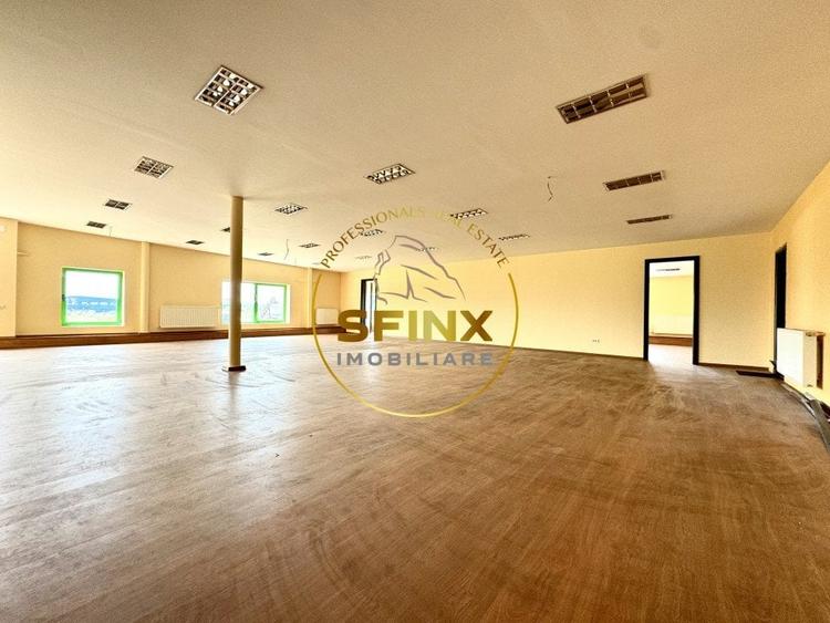 Hala si birouri zona Mogosoaia sos Odai - 13