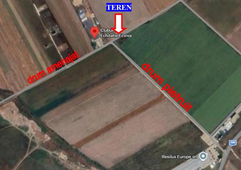 Teren extravilan Dascalu, 10.000 mp - 5