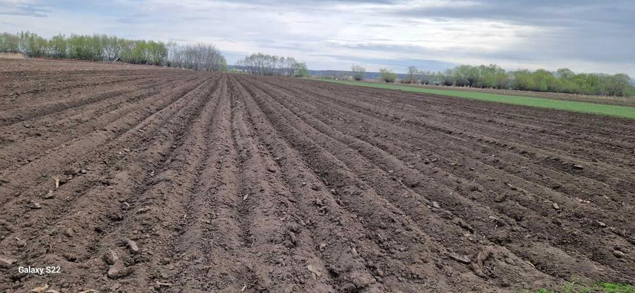 Teren extravilan - 4