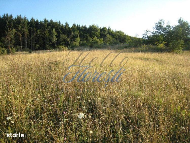 Oportunitate de Investitie Teren Intravilan 5.700 mp, Chinteni - 1