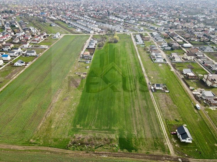 Berceni | Strada Campului – toate utilitatile - acces asfaltat - Rate - 6