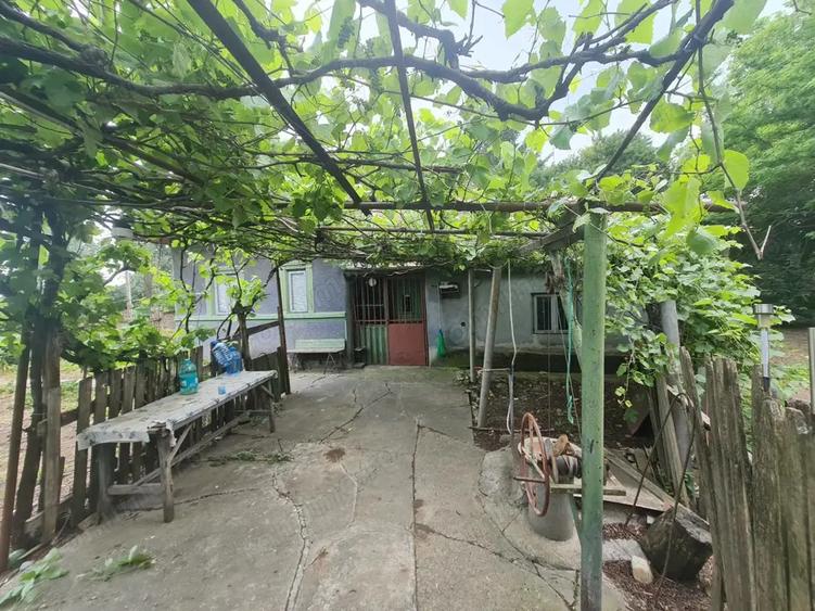 Casa, Dor Marunt, Calarasi - 6