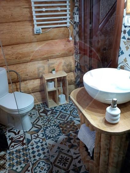 Proprietate cu Potential Triplu..LOCUINTA,INVESTITIE,TURISM!! - 26