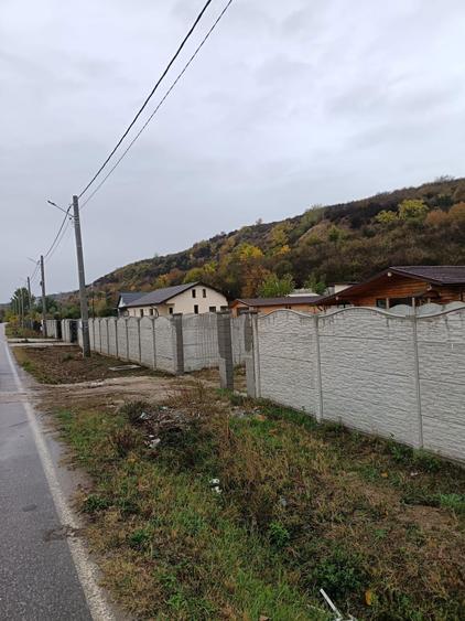 Casa la rosu de vanzare Podari - 5