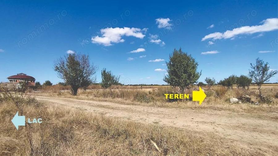 Vanzare teren 4400 mp Snagov - Gruiu, cu deschidere la lacul Snagov - 5