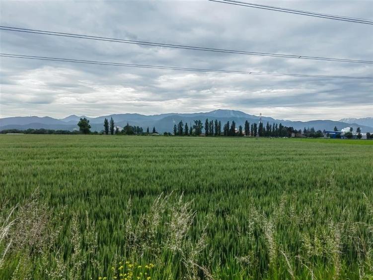 TEREN  de vanzare GHIMBAV   7 ha - BRASOV - 1