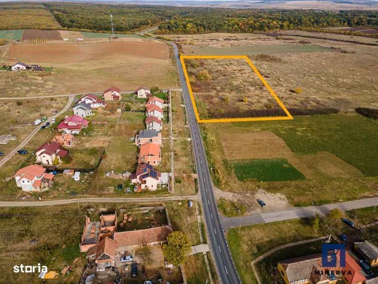 Teren ideal ca investitie, 19000 mp, in Pischia pe DJ691, comision 0 - 1