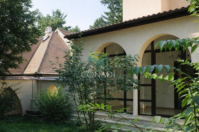 Zona Dorobanti- Aviatorilor, vila speciala de inchiriat,  710 mp utili - 9