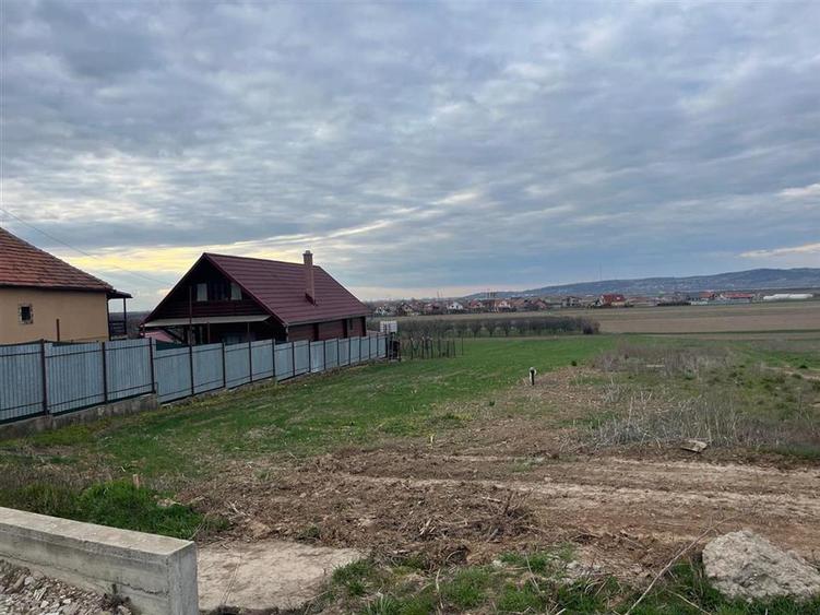 RECO Teren intravilan 700 mp cu toate utilitatile- la asfalt Cheriu - 2