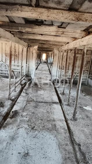 Microferma cu locuinta de vanzare in Pianu de sus - 7