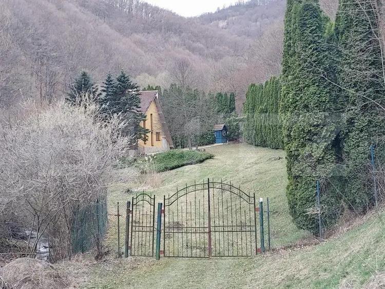 Casa de Vacan?a pe Valea Ighielului 3 camere, 2500 mp curte - 12