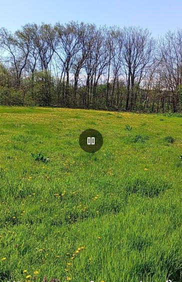 Vand Casa Boureni cu anexe si 2400 m/p - 6