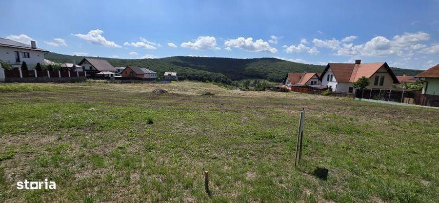 Teren intravilan cu PUZ,constructii,case in Corunca - 8