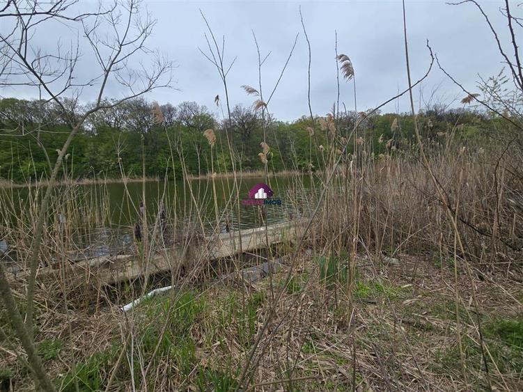 Teren 2000 MP Snagov Astoria - 3