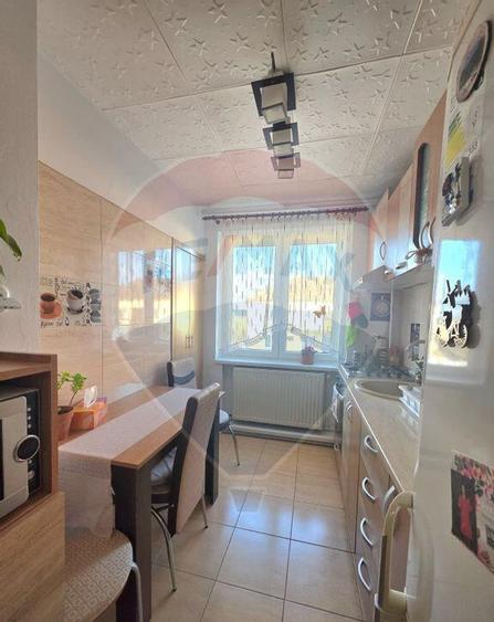 Apartament doua camere vis a vis de Vila Flora Medias - 1