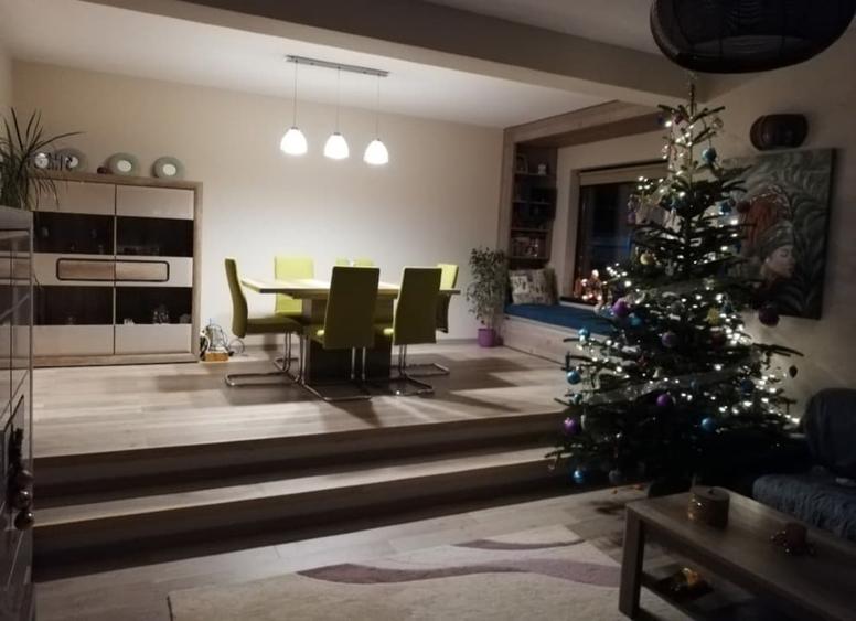 ALBERT-DIRECT PROPRIETAR(exclus agentii imob.)-Vila individuala mobilata - 1