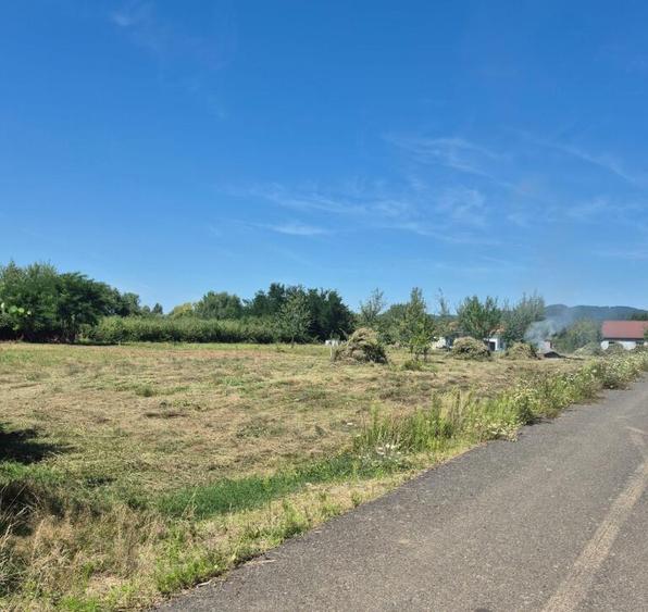 Merisor, 30 ari teren parcelabil - 4