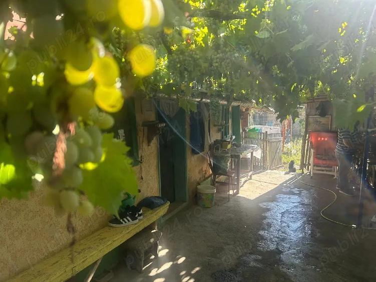 Casa de vinzare Loc.Tichilesti jud Braila - 2