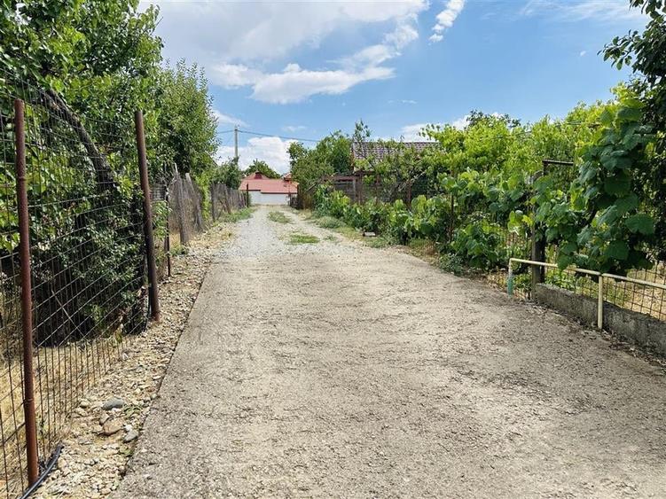 CASA P+M | TEREN 2200 MP | STRADA SOFIEI | ZONA DEALURI - 4