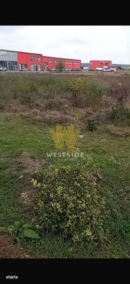 Teren intravilan de vanzare, Calea Lugojului - 6