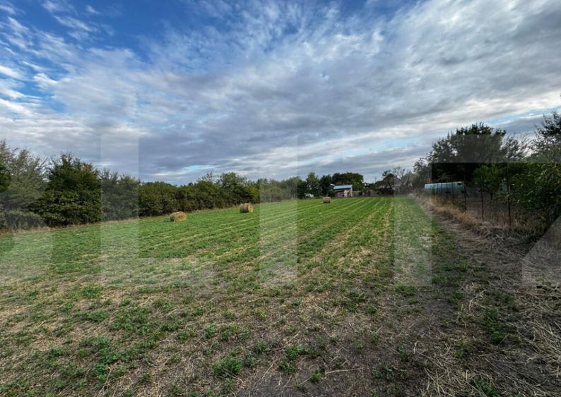 Casa 4 camere cu teren de 3892 mp - 4