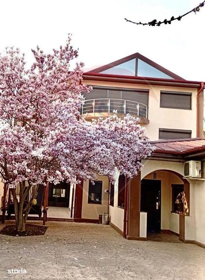 Vila individuala P+1+M de vanzare Cartierul Andronache - 5