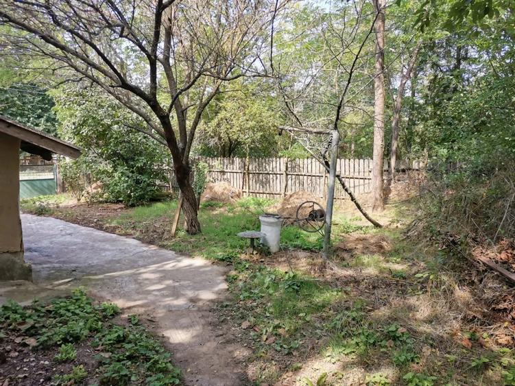 Vanzare casa batraneasca+teren - 3