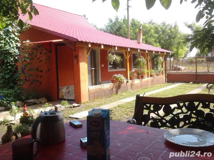 Casa de Vinzare la Sat se poate Viziona Ori cind pina pe data de 3 Januarie - 8