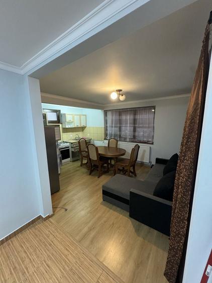 Apartament la curte de inchiriat In Negresti-Oas - 8