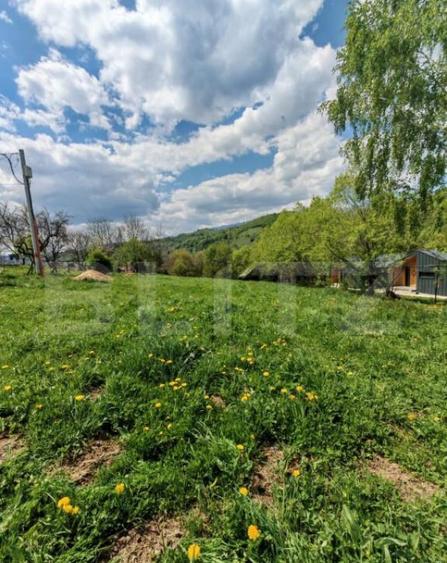 Teren intravilan, 1865 mp, de vanzare in Moieciu - Brasov - 3