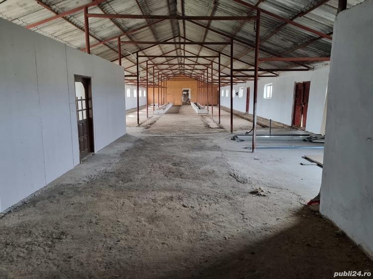 Hala Depozit de inchiriat - 2
