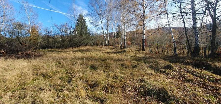 Teren intravilan langa telegondola spre statiunea Straja Lupeni HD - 5