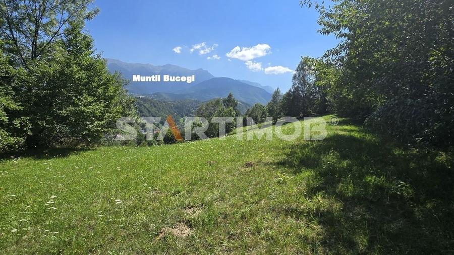 Teren extravilan Bran Podul Simonului - 3