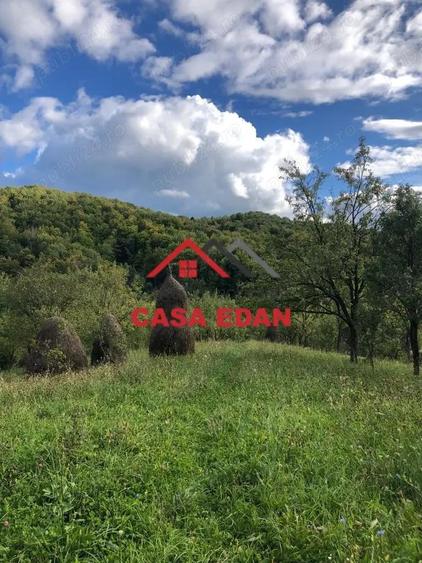 Teren extravilan in Brebu(Pietriceaua)--9104mp--50.000e - 2