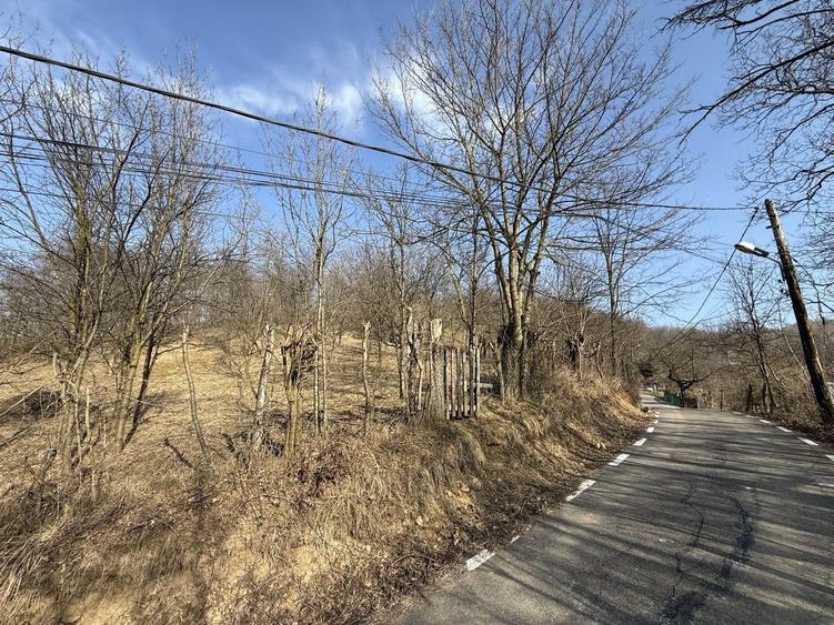 Teren intravilan 2788 mp deschidere 55 ml cu vedere panoramica ! - 12