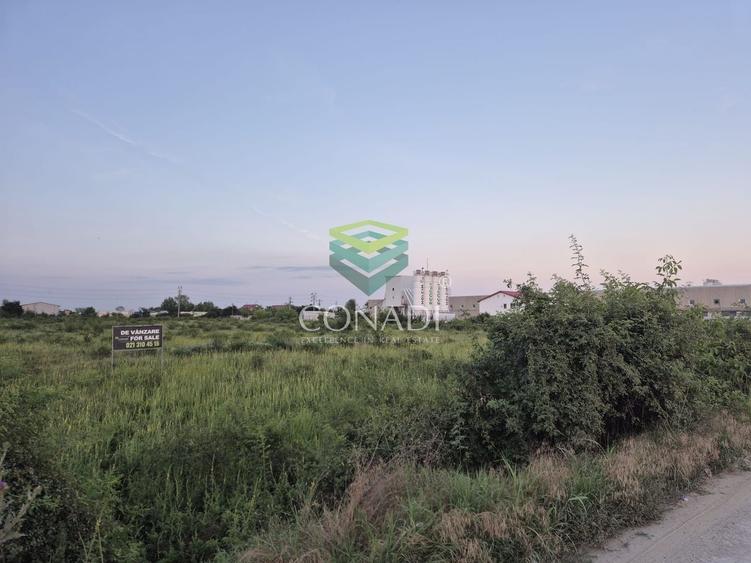 Teren  - pretabil pentru industrial - Centura -  Clinceni - 4