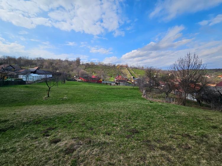 Teren intravilan Comanesti Bacau cu utilitati - 7