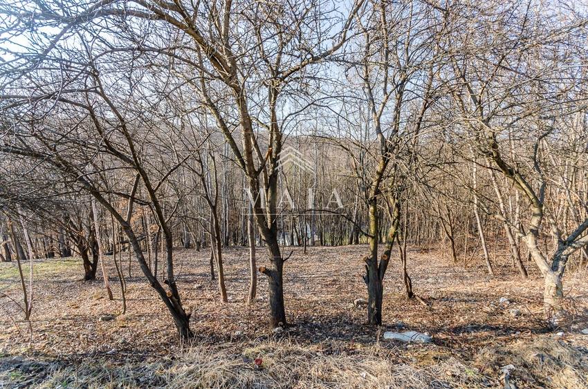 Teren 775 mp, inconjurat de padure, Cisnadioara-Apfelhaus - 4