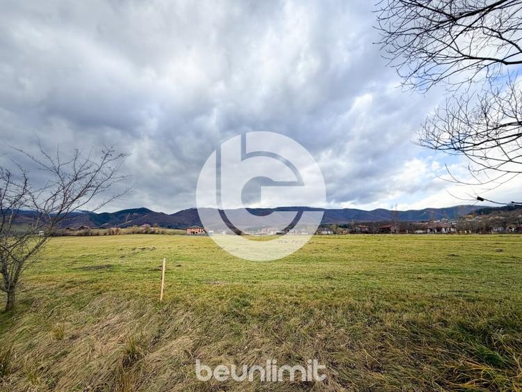 Teren intravilan in Tocile - 49 euro/mp - 4354 m² - 2 fronturi - 10