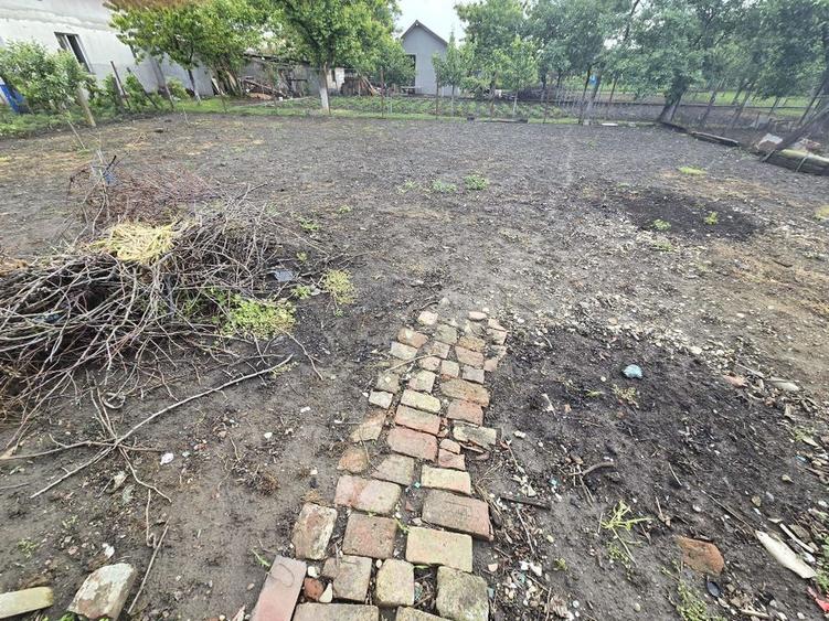 ? Casă renovată cu teren generos - Ciacova, Timiș, 800 mp teren - 9