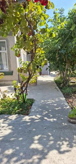 Casa cu gradina si curte 400 mp, cartier Bratianu, Constanta - 6