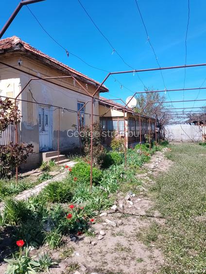 Vand casa de caramida ro?ie goicea mica Vand casa de caramida ro?ie goicea mica