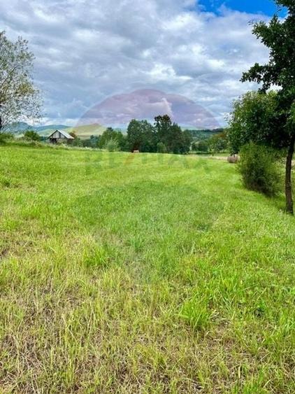 Teren 1,884mp Berbesti / Drumul secundar - 2