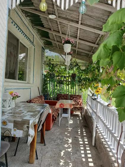 Vand gospodarie in sat Coa?, jud. Maramure? - 4