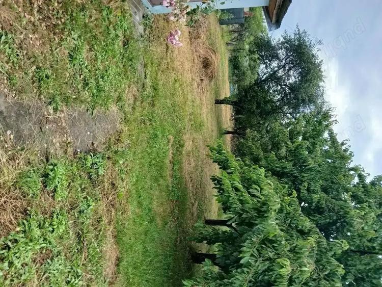 Casa deosebita de vanzare - 7