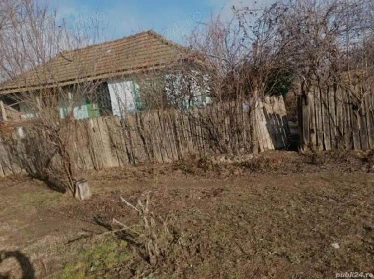 Oferta PASTE Casa Batraneasca Buzau - 3