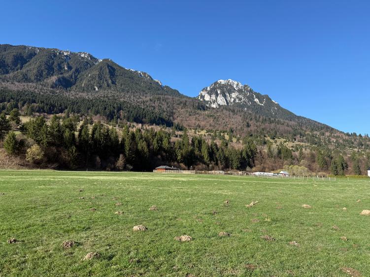 Teren intravilan In Zarnesti zona Plaiul Foii deschidere asfalt si priveliste - 7