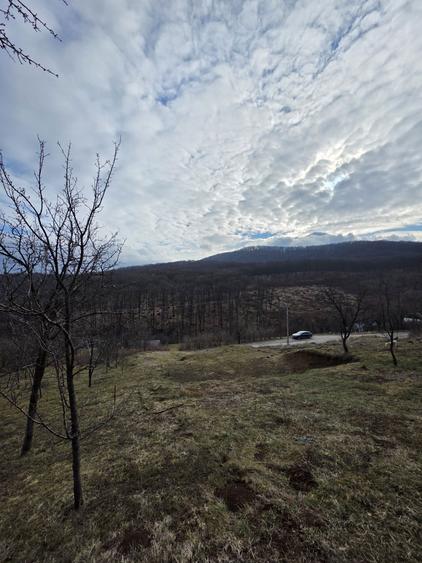 Teren intravilan - 1