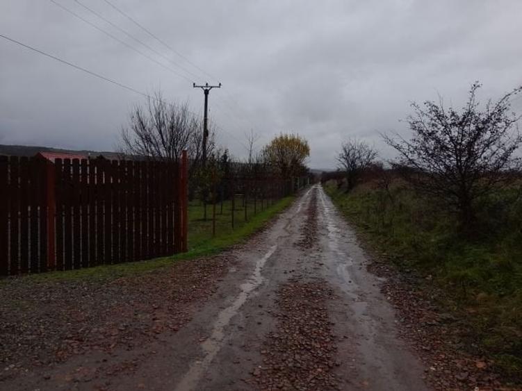 Imobiliare Maxim - teren livada in Daia - 2