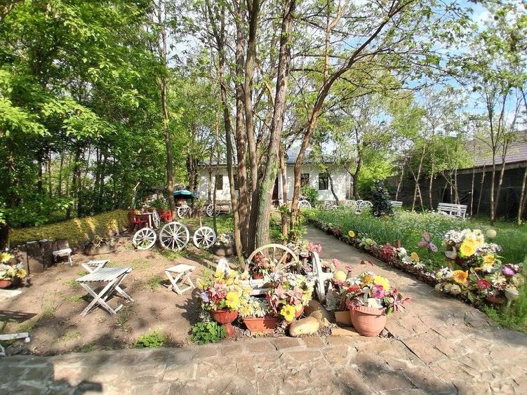 Casa de vanzare in Zorleni zona centrala - 5